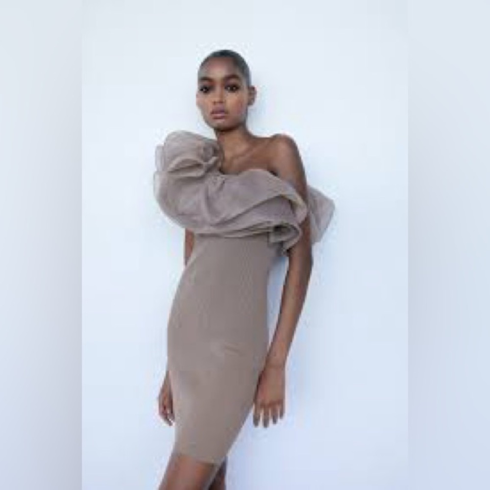 Zara Knit Dress With Organza Ruffled Light Mink NEW